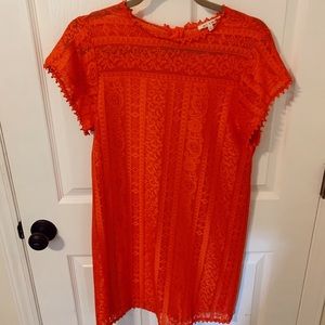 francesca’s orange lace sheath dress